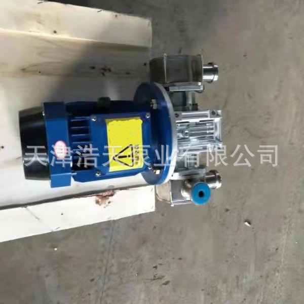 双头挠性泵TDNZ 餐厨垃圾 污水 海水 柴油 煤油 化工原料挠性泵