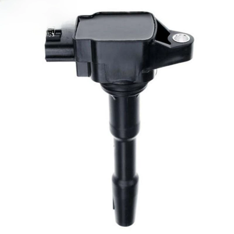 Подходит для каталога Nissan Renault катушка зажигания высокого давления 22433-2428R 22448-00q0f