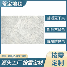 家用防水地毯现代简约地毯卧室床边沙发满铺客厅茶几地垫门垫定制