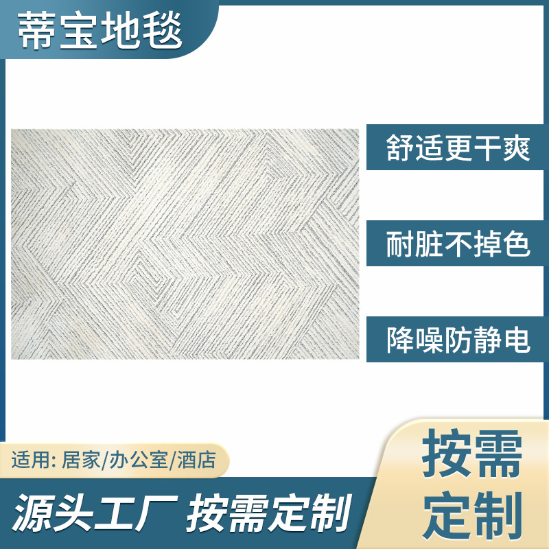 家用防水地毯现代简约地毯卧室床边沙发满铺客厅茶几地垫门垫定制