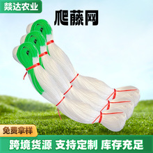 ֲ�����پW �r������Ϲ��߲������ֲ����������ϩ֧�ܾW �S��