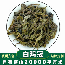 白鸡冠武夷山四大名枞中轻火清新草药香美人茶散装高档岩茶批发