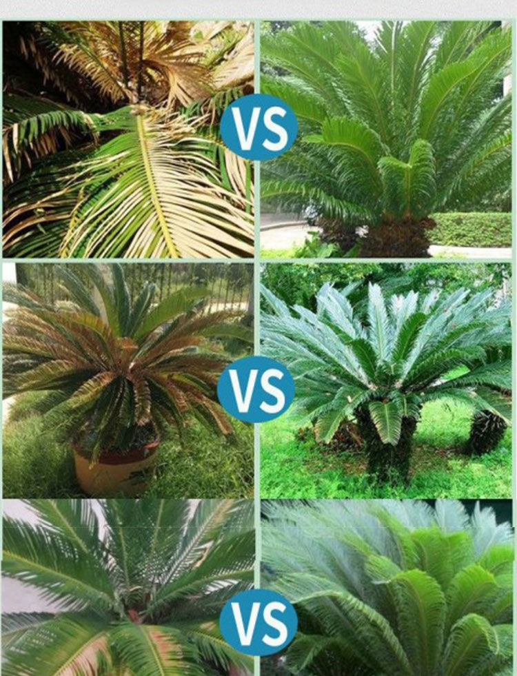 085c34f0-2dde-4fb5-91ab-6df1b39a1867.jpe