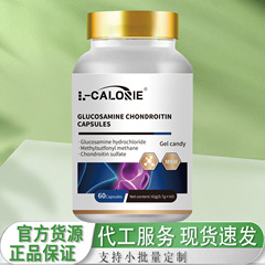 グルコサミン-コンドロイチン コンドロイチン 42g ゴールデンカバー 天然エッセンス 柔軟養生 科学的配合