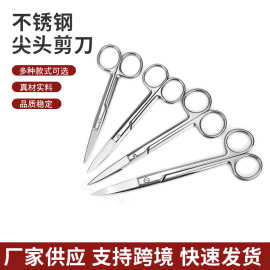 剪刀不锈钢弯头组织剪纱布拆线尖头剪鼻毛剪刀家用小号锋利剪子