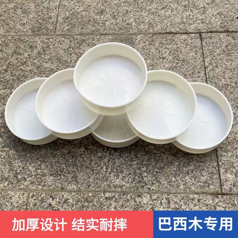 Бразильский деревянный специальный поднос пластиковый таз простой утолщенный таз гидропонная посуда дерево удачи белый современный цветочный горшок без отверстий