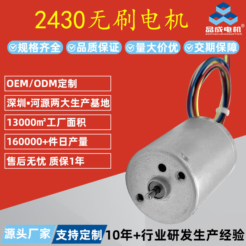 Customized Bl2430 Brushless Motor Skipping Machine Motor Smart Home Electric Clipper Micro Dc Brushless Motor