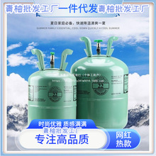 空调R22R410A制冷剂氟利昂巨化冰龙雪种加氟工具套冷媒制冷液药水