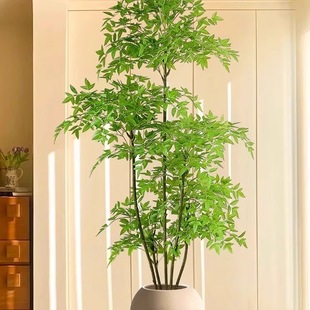 �پGֲ�b��������҃����Դ�����ؔ[���͏d�p�ݷ���Gɫֲ��