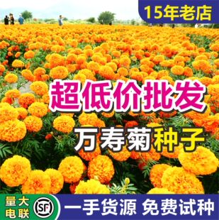 �f�۾շN�Ӱ��U�ذ��ȸ���ļ����NͥԺ���Ի����G�������^�p����