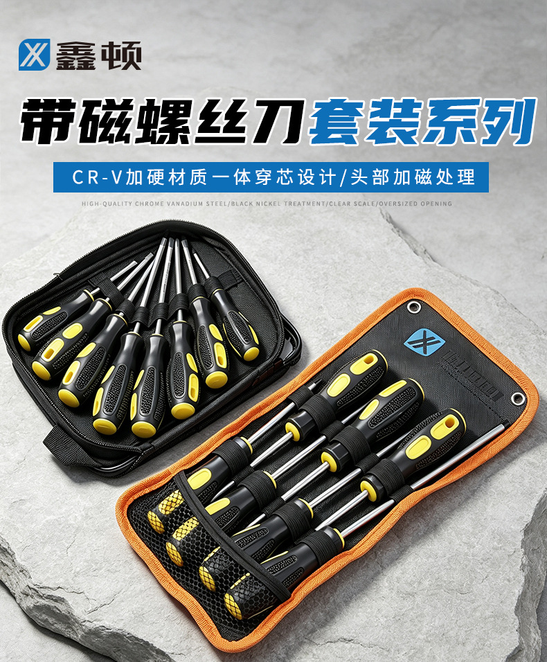 Screwdriver set, magnetic, slotted and Phillips bits