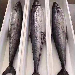 ���l ���E�~10��һ�l �������r���~ ���Ұ�����R�o�~ �������E�~