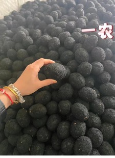 ���l�� 30ö�Ұ��������� С���l���Lζ������ һ�����l���]