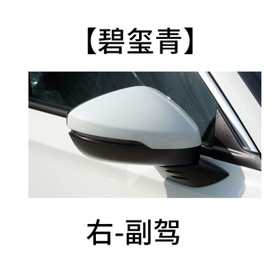 Reversing Mirror Turn Signal Lenses | Rear mirror/rearview mirror assembly - right-side-of-the-co-pilot-tourmaline-green-shell-with-lights