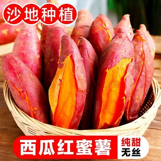 西瓜红蜜薯新鲜9斤板栗红薯小果农家自种红心地瓜糖心烤番薯蔬菜