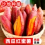 新鲜农家西瓜红板栗地瓜