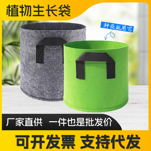 ֲ����ֲ���Nֲ�����Nֲ��ͥԺ�̨�N����ֲ�ﻨ��o�����Nֲ��