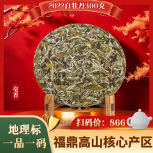 福鼎白茶 2022年高山日晒白牡丹 茶饼 花香300g散装花茶厂家批发