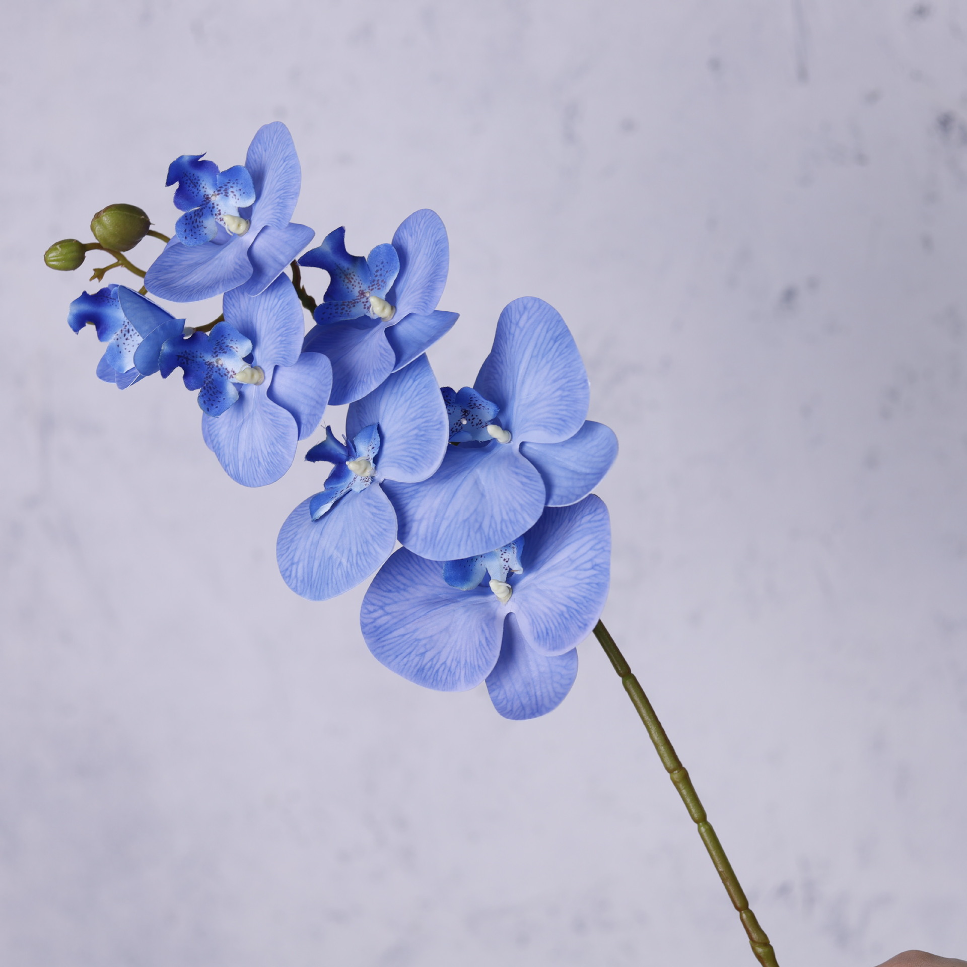 Impresión 3D de 7 cabezas de orquídeas mariposa flor de decoración de flores de alto nivel flor de nicho decoración floral decoración de sala de estar