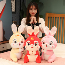 ���꼪����ë�q��߹�����ФС������ż��ɫ�͸��ð�����ë�q���