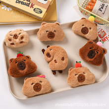 ��ͨ��Ƥ����ë�q��߹���ˮ����������diy������b�������