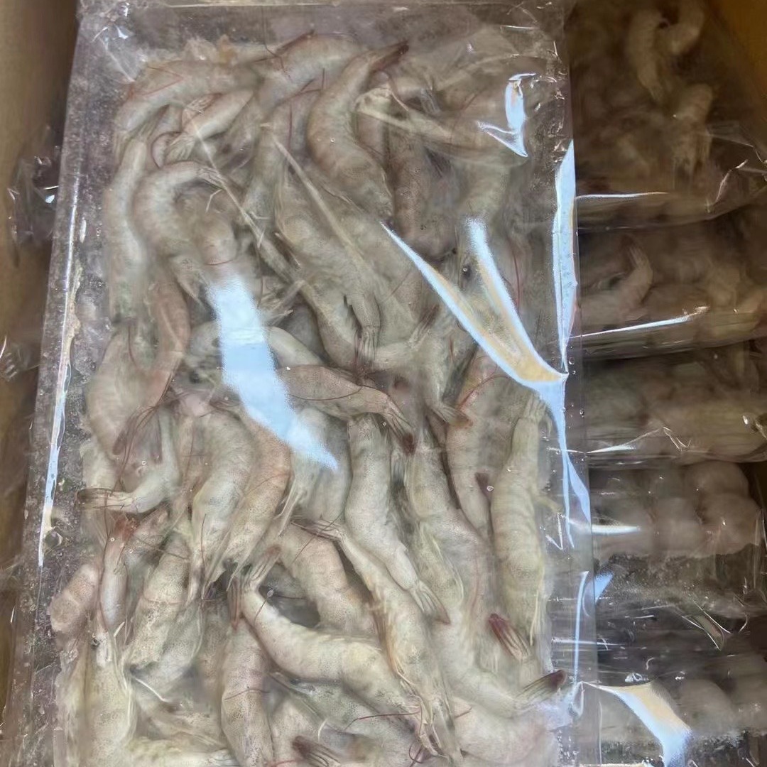 小海虾冷冻整箱大虾冻虾青虾对虾白虾基围虾宝宝辅食饭店食材商用