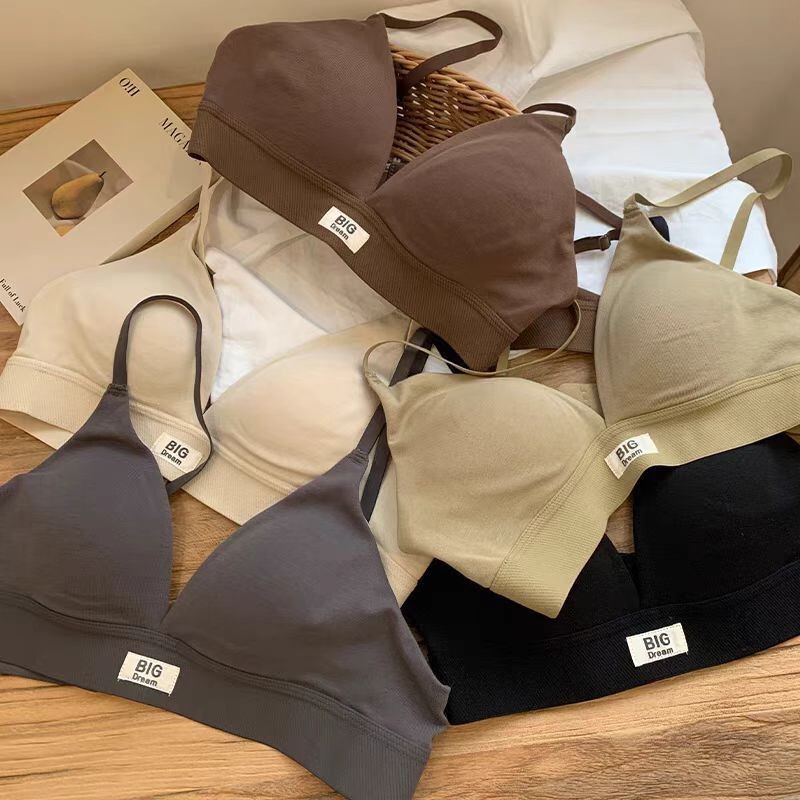Seamless Lettered French Style 2024 New Triangle Cup Bra for Women with Small Bust, Anti-Sagging, Wireless Bra in Nude Color