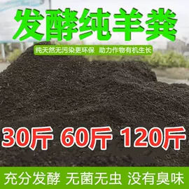 栽培基质;盆栽;营养液