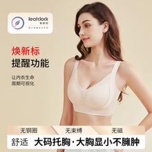 性感深V调整型固定杯蕾丝内衣女无钢圈大胸显小副乳防垂女士文胸