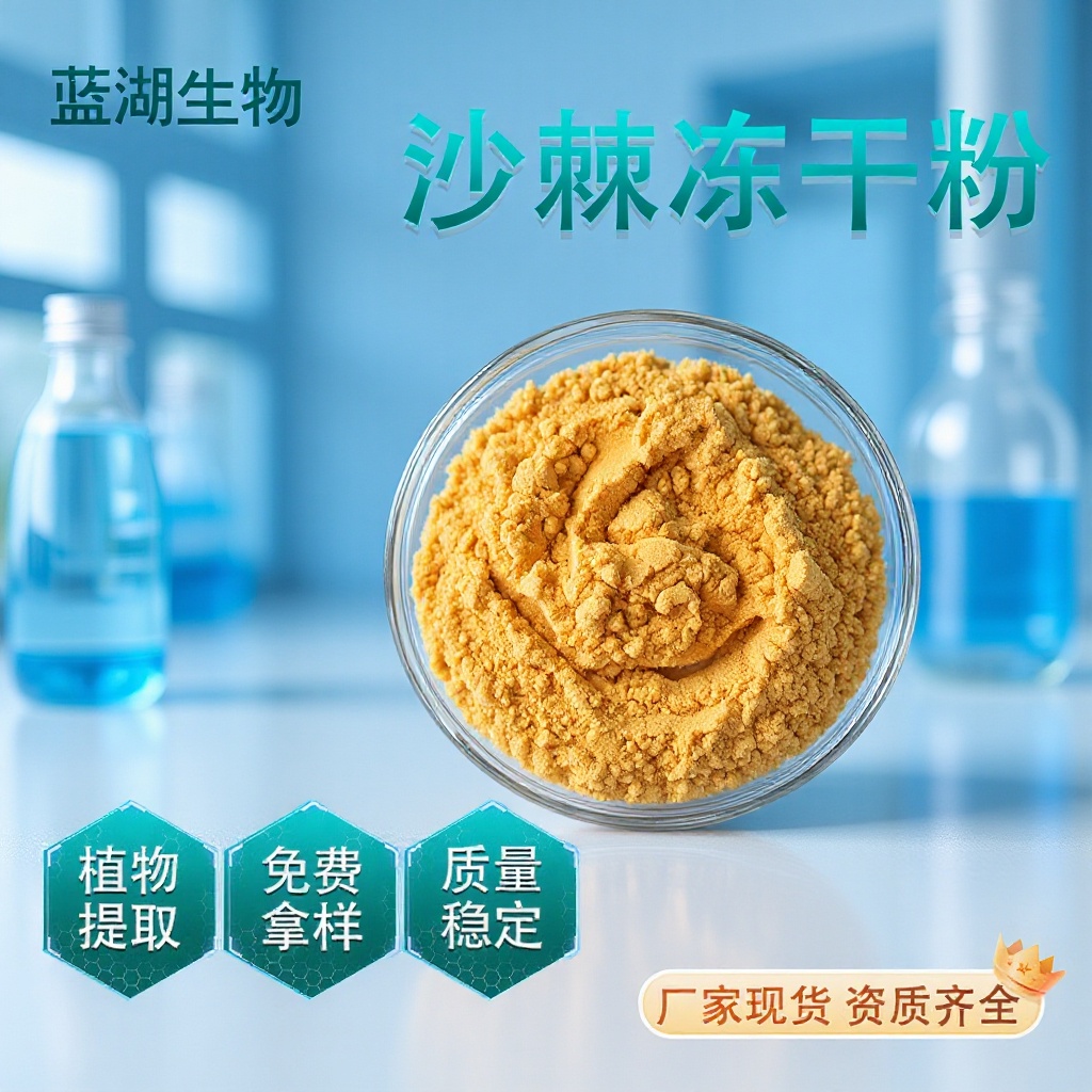 沙棘冻干粉新疆沙棘全果冻果蔬沙棘果粉速溶食品原料抗氧化现货