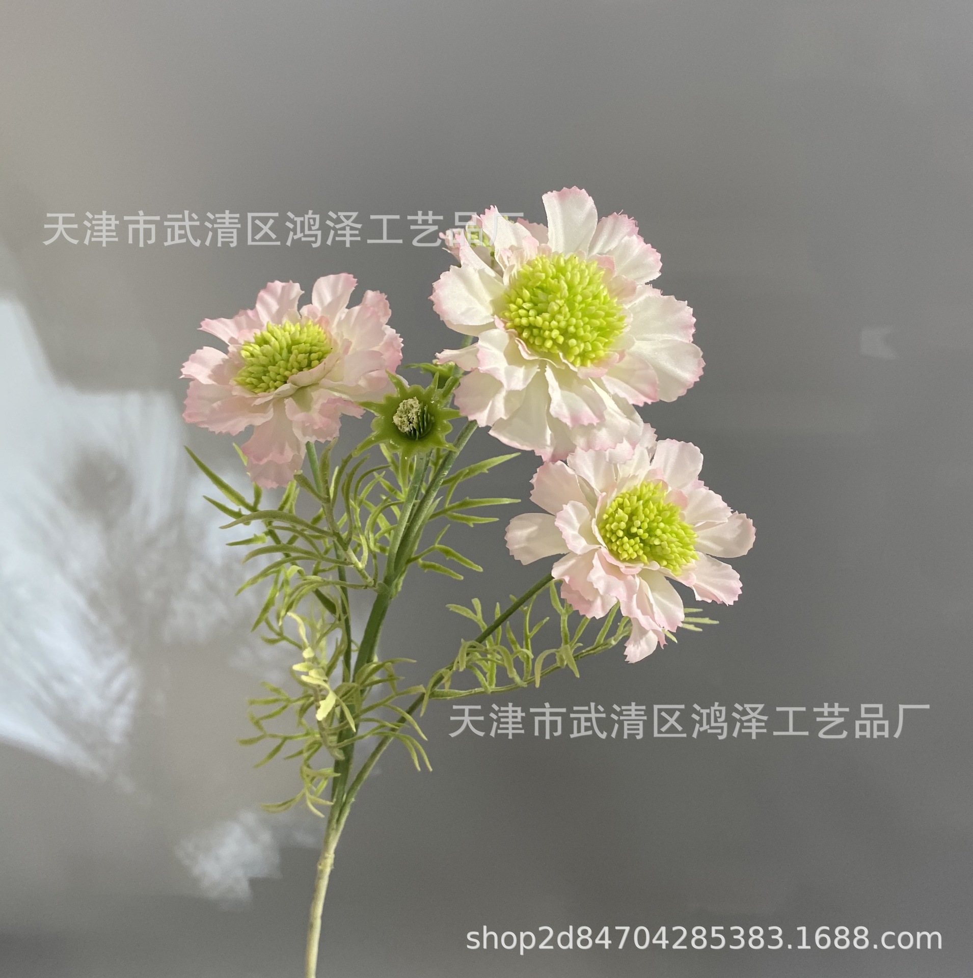 분홍색