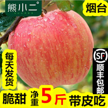 山东烟台红富士苹果礼品盒栖霞奶油苹果水果新鲜10斤脆甜糖心代发
