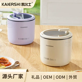 电煮锅;电火锅;养生壶