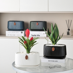 多肉民宿花盆大口徑有孔長條橢圓形陶瓷陶瓷透氣吸水分體王金