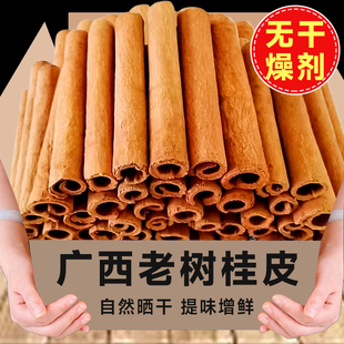 �V���o����🟹� �����u�����Ϲ�Ƥ��؛�������l�����ș��