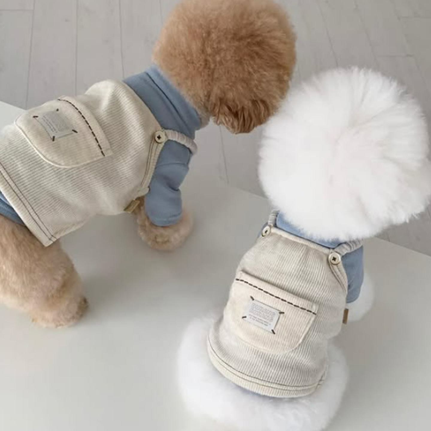 Nuevo otoño y invierno simple afortunado bolsillo de cachorro vestido de correa delgada mascota perro gato ropa de peluche image 5