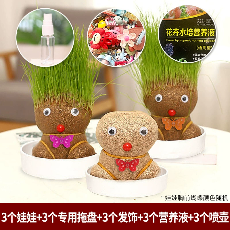 [批发草头娃娃浇水头上长草人绿植长头发儿童好养种草幼儿园桌面小]
