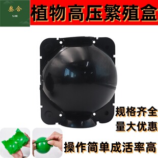 ֲ�ﷱֳ�߉����������߿Չ�֦������Ǥ��޽Ӻ�����ظ���ֳ��