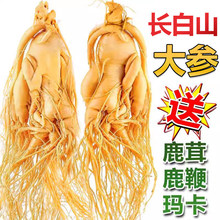 �L��ɽ���r�˅���ˮ�ݾƌ����r�����ږ|�����خa���a�B�������˅�