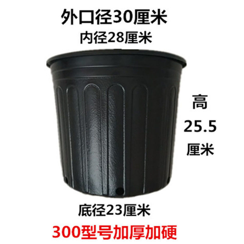 8145a4ca-1b3a-409b-8c56-bb44a0a8c02e.jpe