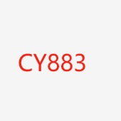 CY883 초상화 반지