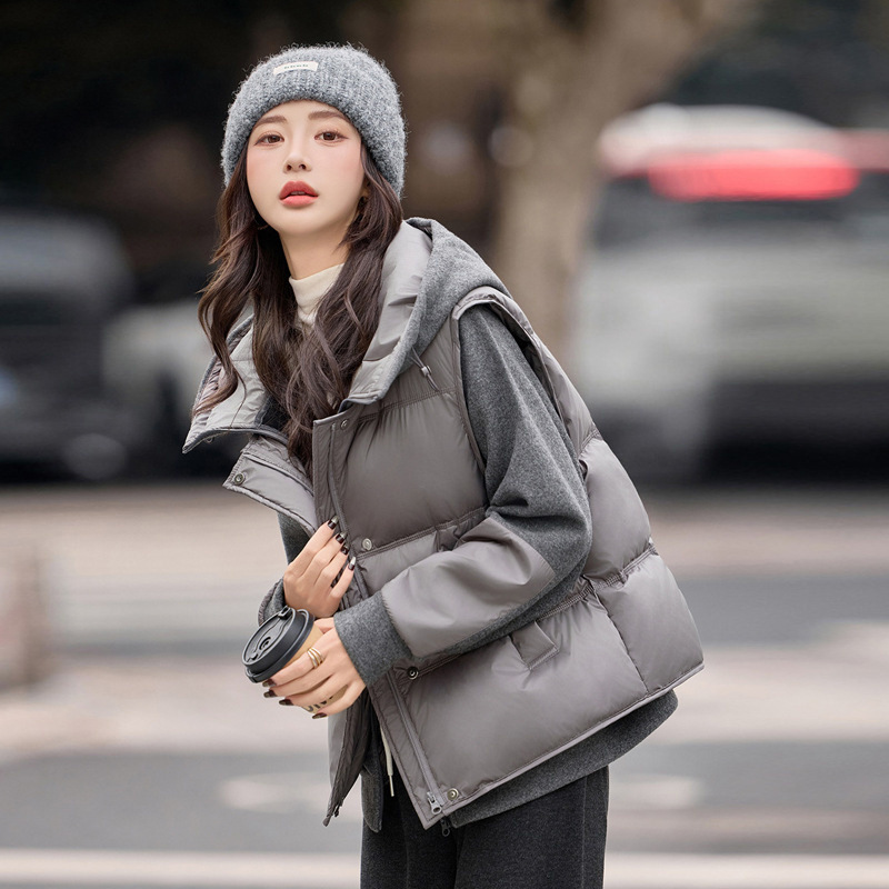 Fleece-Lined Hooded Sweatshirt and down Vest for Women, Winter 2025 New Style, Warm Short Outerwear, Trendy Hot-Selling Set This Year