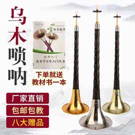 初学者唢呐乐器全套d调成人唢呐学生唢呐红木乌木黑檀木送哨片