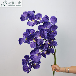 �ָб����f���m���滨�Ҿ�ܛ�b��̻�c�zӰ�[�������m�ٻ�