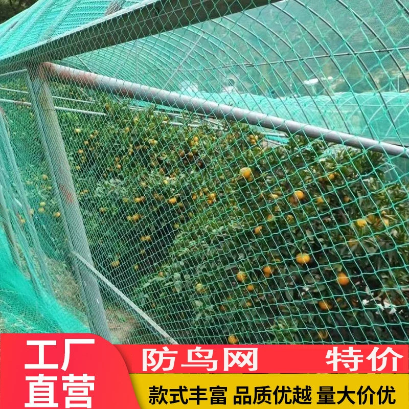 Полиэтиленовые рыболовные сети для разведения сетей Куриные сетки рыболовные сети забор нейлоновые сетки