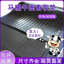 SֱţԴz|BֳÉ|RţiNҎz|