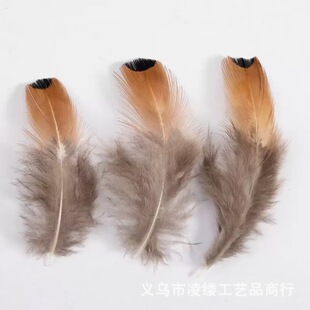 �S�����ldiy�Ʒ����Bֳɽ�u�S���c�t���c��ë�ֹ�����b�o��