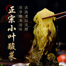 正宗小叶酸菜芥菜脆嫩无筋菜酸菜鱼米线火锅商用老坛子腌制餐饮用