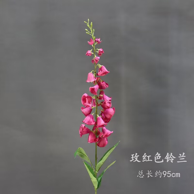 Rosa roja lirio del valle