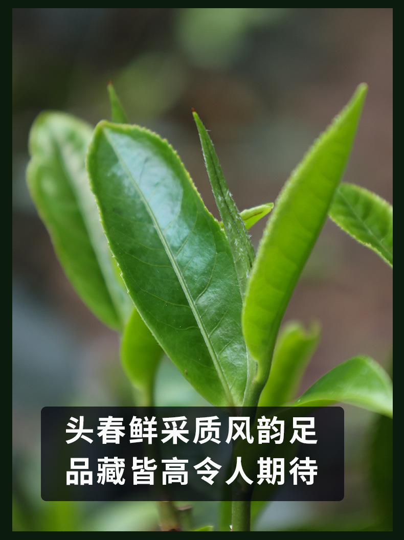 O1CN0104CUdk2JUFGkhBRa0_!!9241